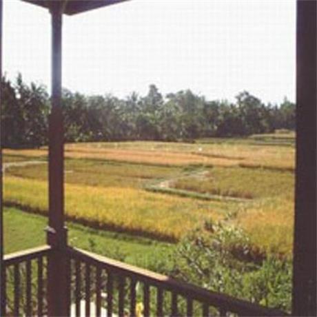 Tepi Sawah Villas and Spa