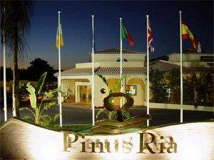 Pinus Ria
