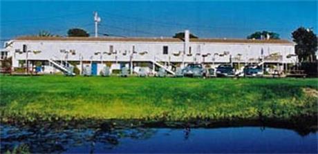 Sea Whale Motel