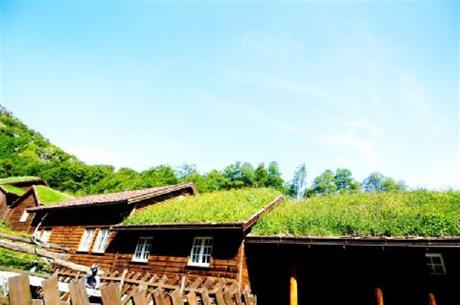 Byrkjedalstunet