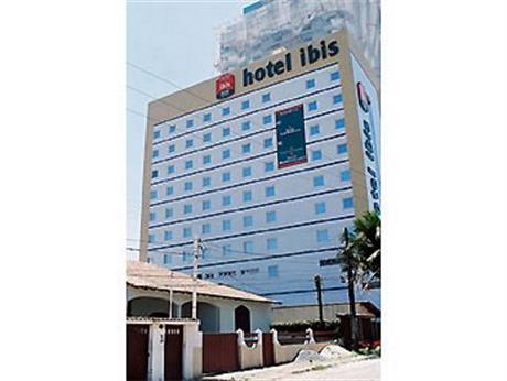 Ibis Macae