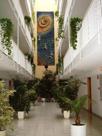 Apartments Avenida