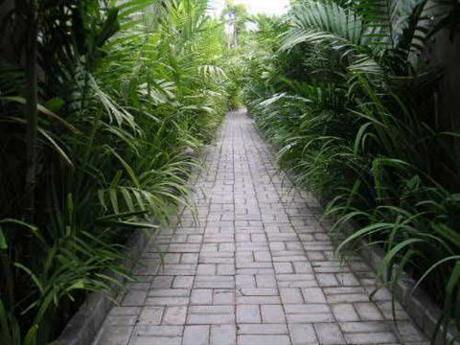 ALU Bali