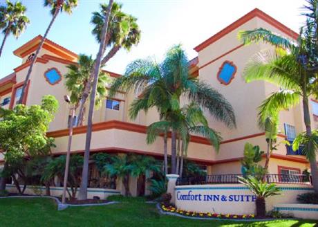 Comfort Inn & Suites Zoo SeaWorld Area