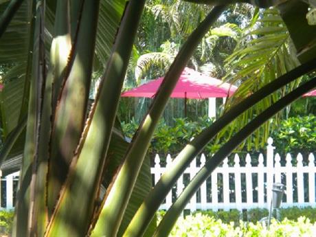 Casa Grandview Historic Luxury