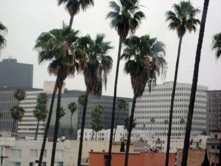 Shelter Hotel Los Angeles
