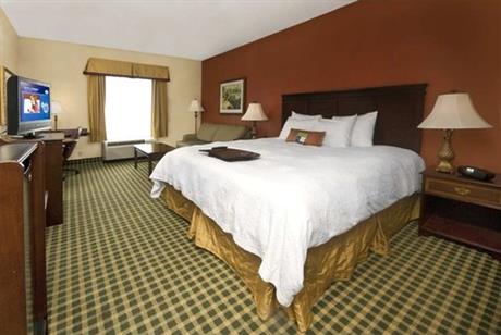 Hampton Inn ATLLawrencevilleI85Sugarloaf