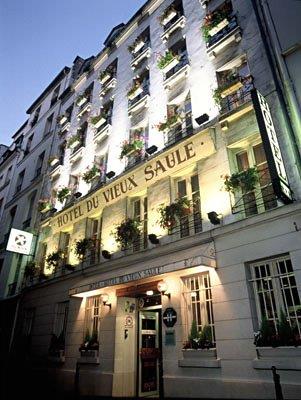 DU VIEUX SAULE