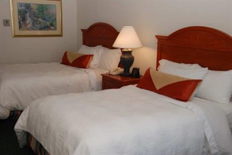 Hilton Garden Inn Austin NWArboretum