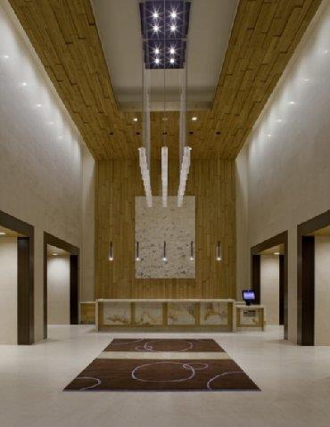 Hyatt at Olive 8