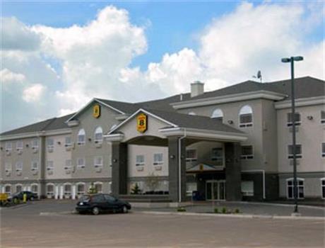 Super 8 Camrose