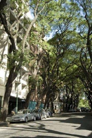 Esplendor Palermo