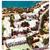 Pestana Palm Gardens