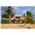 Belizean Dreams