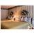 Quality Inn Auburn