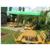 Oylat Village Inn Thermal Springs