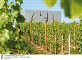LOISIUM Hotel - Wine&spa resort