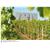 LOISIUM Hotel - Wine&spa resort