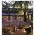 Ringhotel Sellhorn Hanstedt