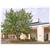 Super 8 Madison/Ridgeland Area