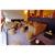 RESIDENCE LA RESERVE GENEVE