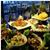 Club Hotel Loutraki