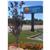 Comfort Inn Lone Pine