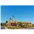 Comfort Suites Inn at Ridgewood Farm