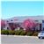 Inn at Moses Lake