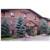 Extended Stay Deluxe - Cleveland - Westlake