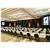 Dallas/Fort Worth Marriott Solana