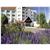 Novotel Beaune