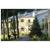 Black Bear Lodge