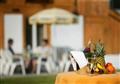 Hotel Alpina