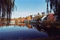 Fernwood Hotel and Resort
