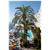Premier Gran Hotel Reymar