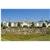 BEST WESTERN Inn at Blakeslee-Pocono