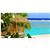 Sanctuary Rarotonga-On The Beach