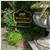 Golden Pheasant Country Hotel