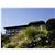 Hotel Traube Tonbach