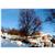 Halcyon Heights Bed And Breakfast Inn