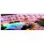 Riu Palace Jandia