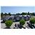 Best Western Regency Inn & Conference Centre