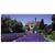 Le Manoir aux Quat'Saisons