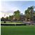 Pine Needles Lodge and Golf Club