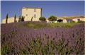 Domaine De Capelongue