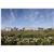 Mendocino Hotel and Garden Suites