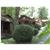 Mountain Brook Cottages