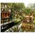 Golden Waters Resort