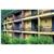 Sangay Spa Hotel